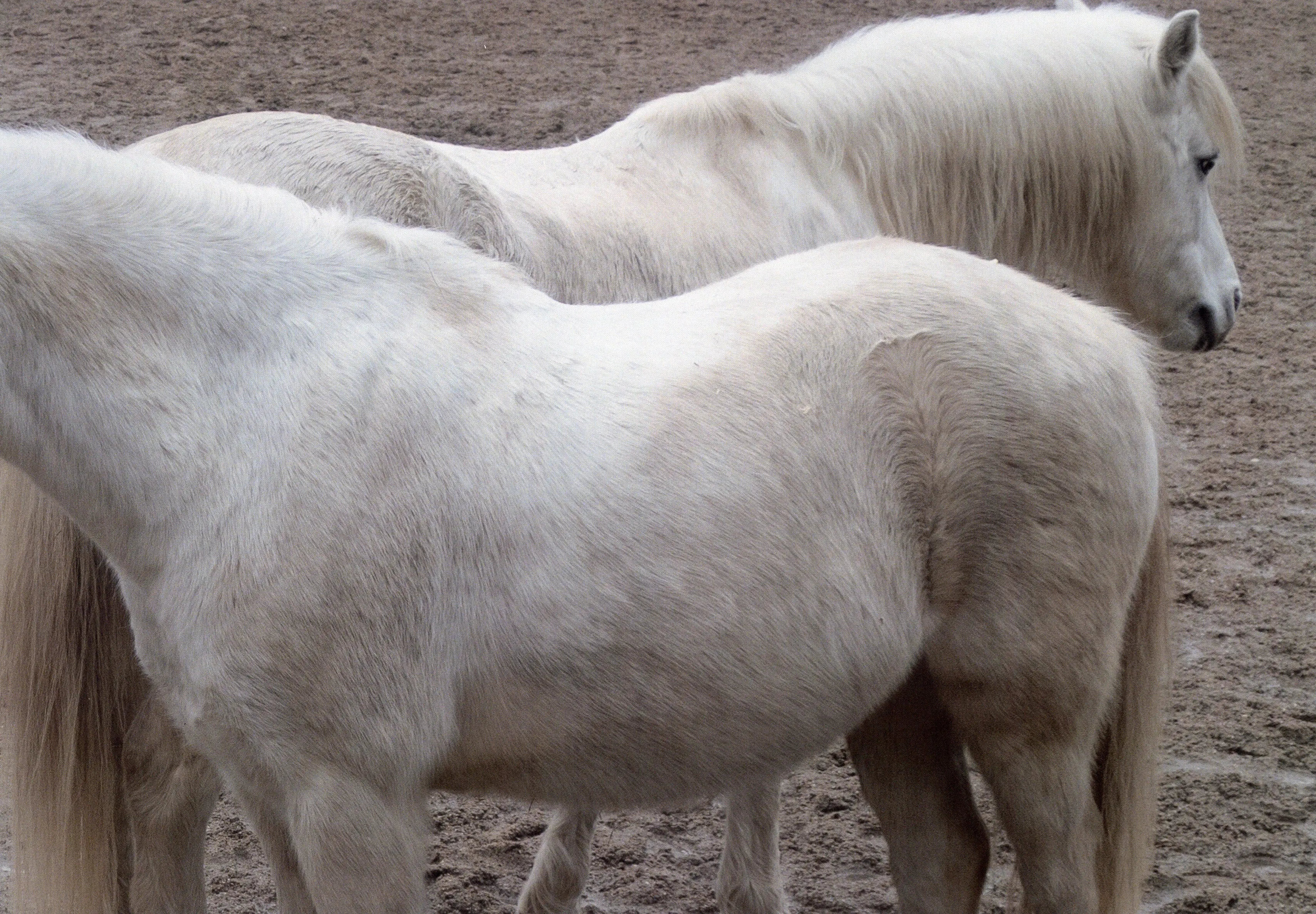 Campaign with Maja Lumholt 7