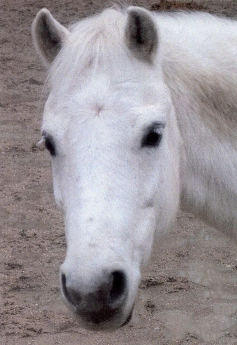 Campaign with Maja Lumholt 9