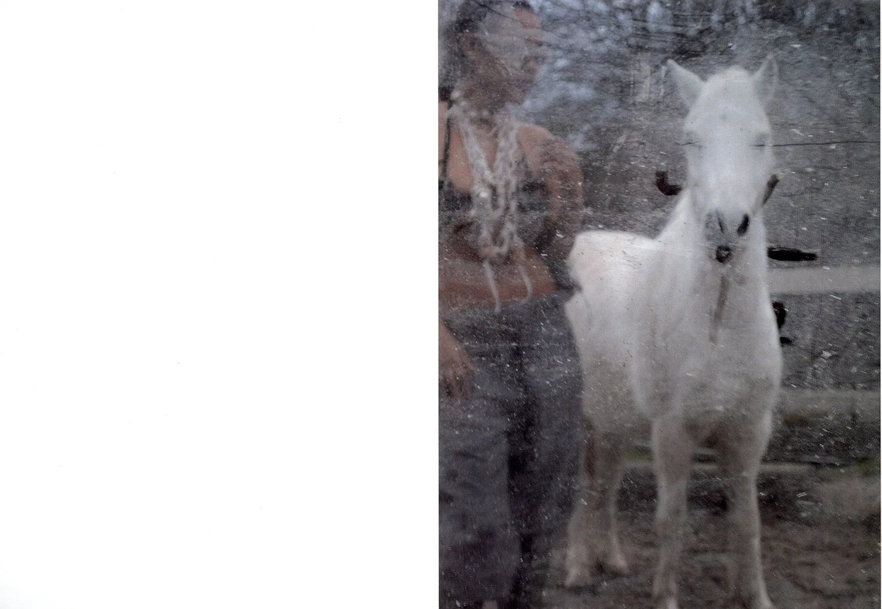 Campaign with Maja Lumholt 9